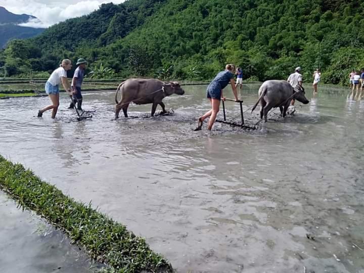 Mai Chau Xanh Bungalow Eksteriør billede