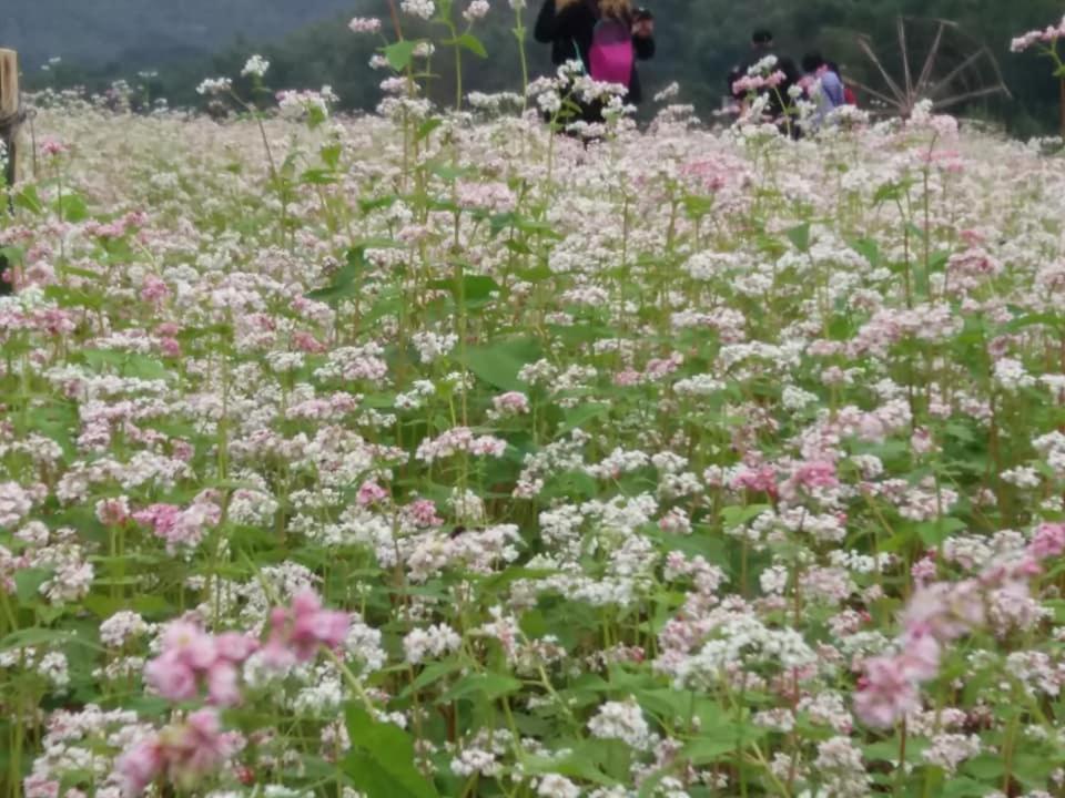 Mai Chau Xanh Bungalow Eksteriør billede