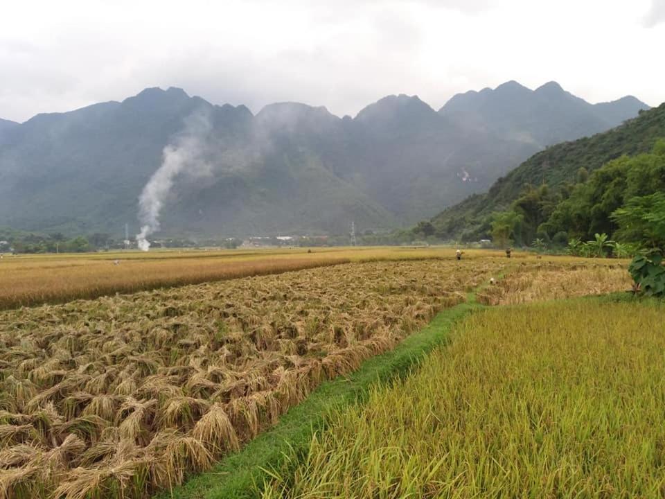 Mai Chau Xanh Bungalow Eksteriør billede