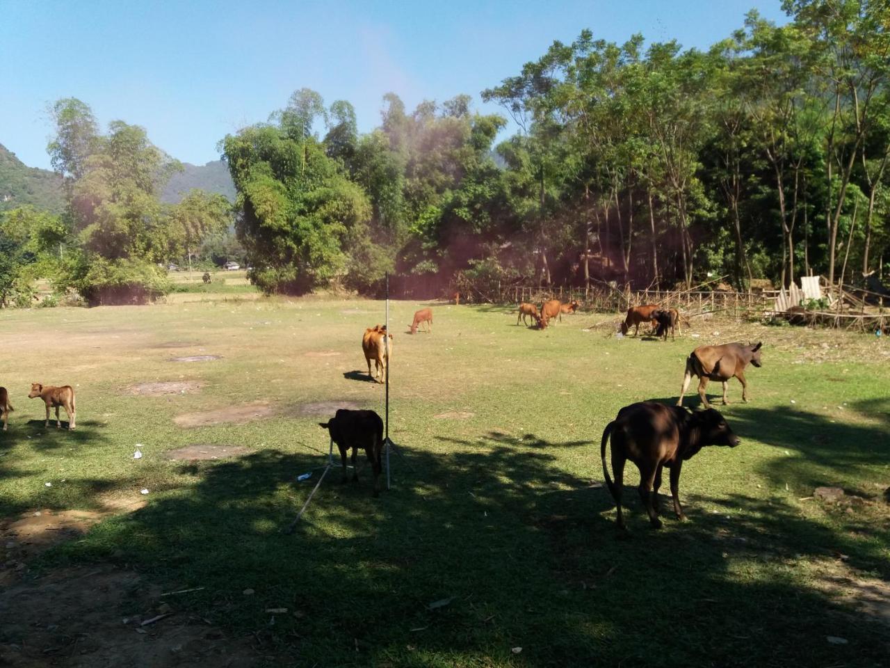 Mai Chau Xanh Bungalow Eksteriør billede