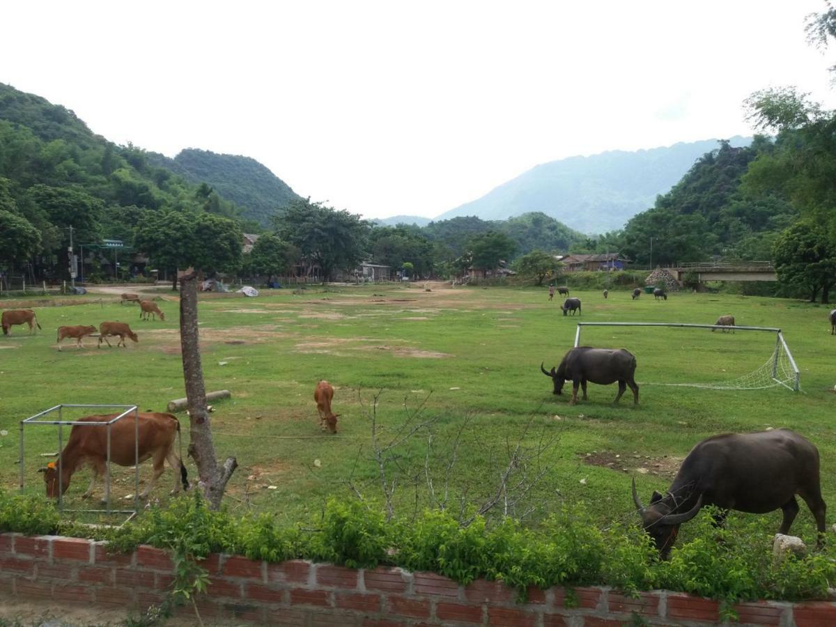 Mai Chau Xanh Bungalow Eksteriør billede